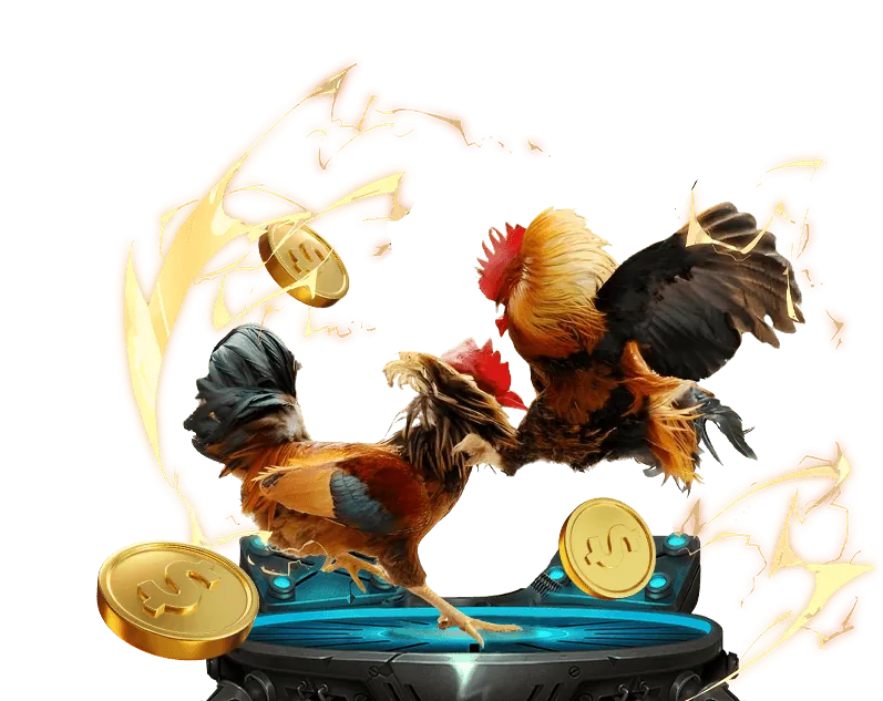 Ưu đãi và khuyến mãi hấp dẫn win55 tv